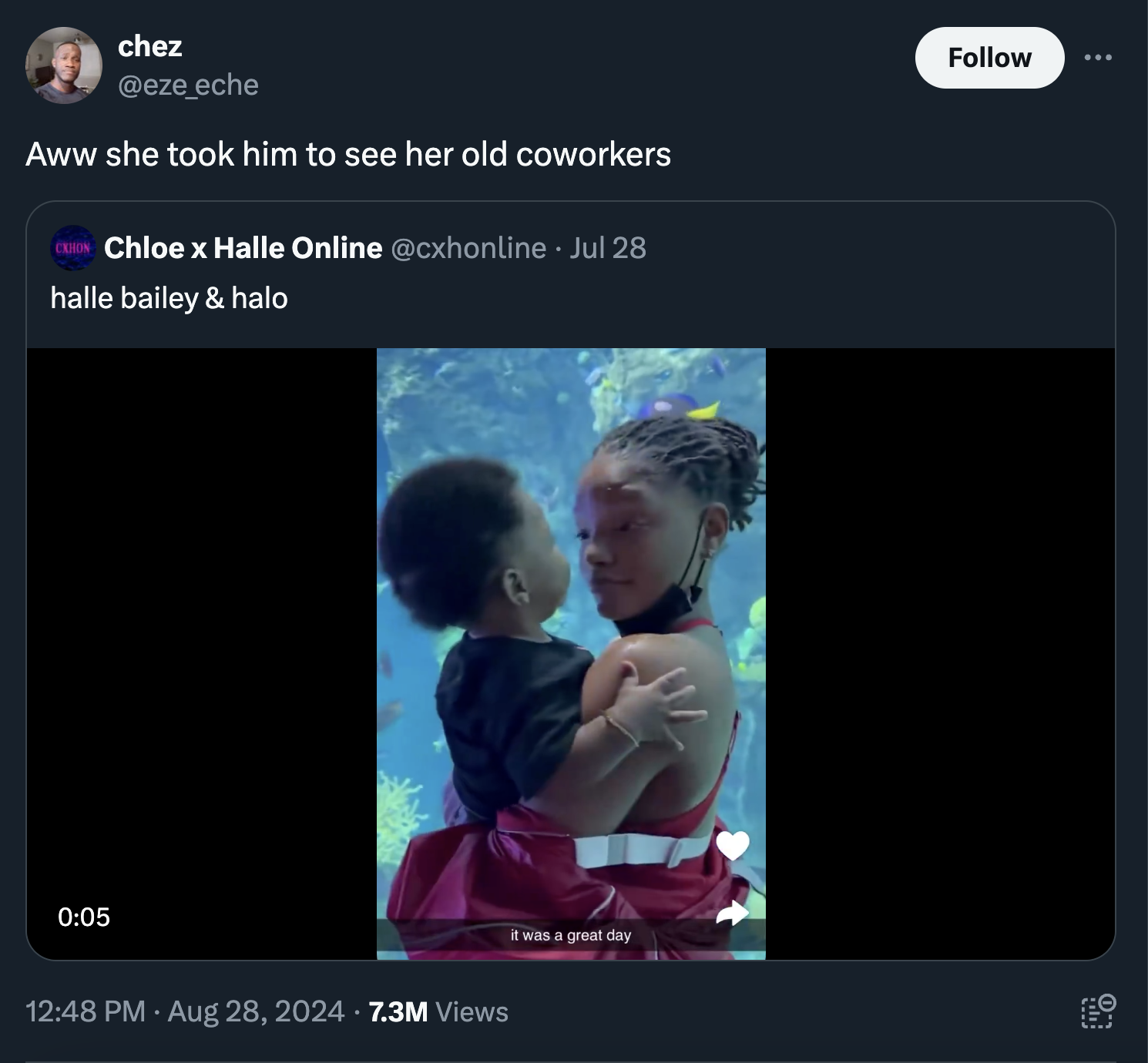 screenshot - chez Aww she took him to see her old coworkers Chloe x Halle Online . Jul 28 halle bailey & halo 7.3M Views It was a great day